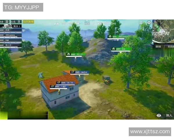 和平精英战术解析：TES团队合作与策略运用的深度剖析