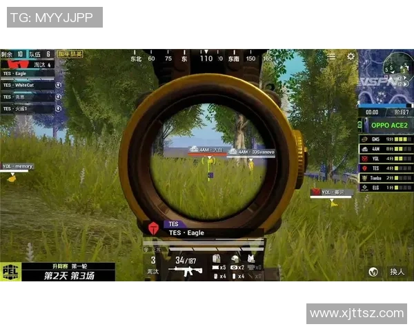 和平精英赛事分析：TES战队盯防策略的成败得失探讨