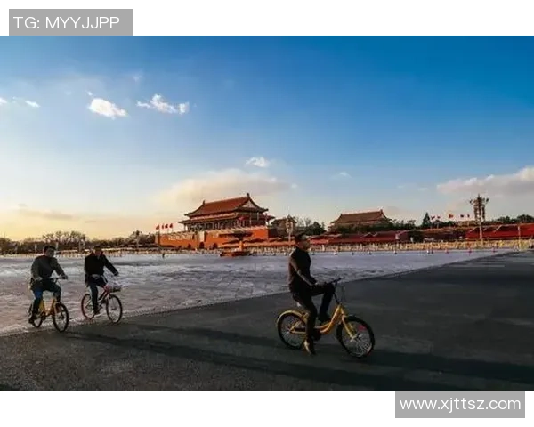 陈军的乒乓球人生深度对话探索他的奋斗与荣耀之路 陈军的乒乓球人生深度对话探索他的奋斗与荣耀之路